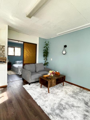 Private apartment in Dunedin Dunedin